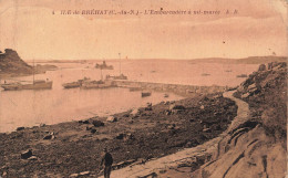 FRANCE - Ile De Bréhat - L'embarcadère à Mi-marée - A.B - Carte Postale Ancienne - Ile De Bréhat