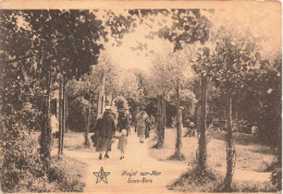 BELGIQUE - Heyst Sur-Mer - Sous-bois - Carte Postale Ancienne - Heist