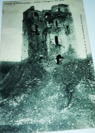 CARTE POSTALE  Le Château De Trémazan En Landunvez 1922 - Landévennec