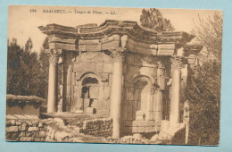 LIBAN - LEBANON - BAALBECK - Temple De Vénus - Liban