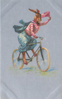 Lapin Humanisé * CPA Illustrateur  * à Vélo * Cycle * Rabbit Mode - Autres & Non Classés