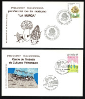 ANDORRE ANDORRA Espagnol Lot De 2 Enveloppes FDC édition Locale PUJOL Champignon Morille & Culture Pyérénées 1984 TTB - Sammlungen