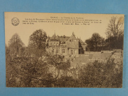 Chimay Le Château Vu Du Faubourg - Chimay