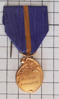 Médaille > Mérite Éducatif  > Réf:Cl Belge  Pl 2/ 4 - Firma's