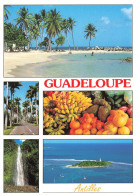 FRANCE - Guadeloupe - Antilles - Cascade - Plage - Fruits - Carte Postale - Otros & Sin Clasificación