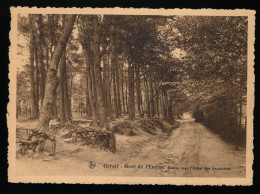 MONT DE L'ENCLUS  ROUTE VERS L'HOTEL DES SAPINIERES    2 SCANS - Kluisbergen