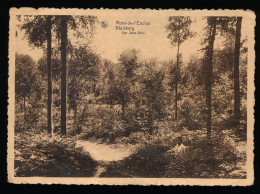 MONT DE L'ENCLUS  VUE SOUS BOIS     2 SCANS - Mont-de-l'Enclus