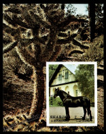 Sharjah 1972 Yvert ?, Fauna, Horse & Nature - Imperforated Miniature Sheet - MNH - Sharjah