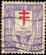 COB  234-V 2 (o)  Taches Rouges De La Surcharge En Divers Endroits - 1901-1930