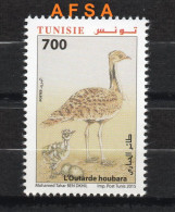 Tunisia 2015 -HOUBARA - L'outarde // The Bustard - Kranichvögel