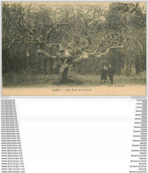 51 VERZY. Un Faux De La Forêt Personnages 1916 - Verzy