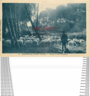 WW 40 CASTETS-DES-LANDES. Berger Et Son Troupeau De Moutons 1930 Carte Assez Rare... - Castets