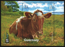 Guernsey 2016 - Mi-Nr. Block 78 ** - MNH - Kuh / Cow - Guernesey