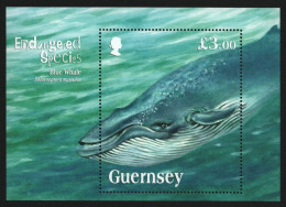 Guernsey 2011 - Mi-Nr. Block 52 ** - MNH - Wale / Whales - Guernesey