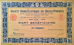 Société Hydro-éléctrique Des Basses-Pyrenées - Paris - 1910-  Part Bénéficiaire - Agricoltura