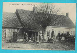 * Stavele - Alveringem (West Vlaanderen) * (Edit Alexis De Garne, Nr 7) Hameau Het Hoehje, Ferme, Animée, Chien, Cheval - Alveringem