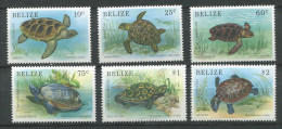 Belize ** N° 932 à 937 - Tortues - Belize (1973-...)