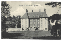 Belgique  -  Pepinghen - Chateau De Puttenbergh -chevalier Camberlyn D'amougien - Pepingen