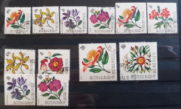 BURUNDI FLOWERS - Used Stamps