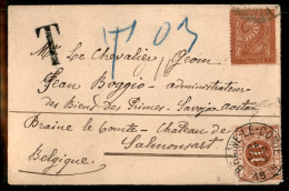 Regno - Vittorio Emanuele II - Bustina Per Salmonsart (Belgio) Del 24.6.96 Affrancata Con 2 Cent (T15) E Tassata In Arri - Autres & Non Classés