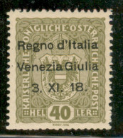 Occupazioni I Guerra Mondiale - Venezia Giulia - 1918 - 40 Heller Soprastampato (10) - Gomma Integra - Other & Unclassified