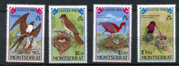 Montserrat ** N° 669 à 672 - Oiseaux - Montserrat
