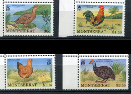 Montserrat ** N° 751 à 754 - Oiseaux De La Basse-cour - Montserrat