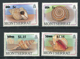 Montserrat ** N° 755 à 758 - Coquillages - Montserrat