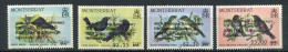 Montserrat ** N° 661 à 664 Surchargés - Oiseaux - Montserrat