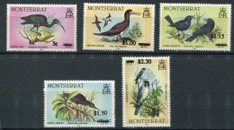 Montserrat ** N° 644 à 648 - Oiseaux - Montserrat