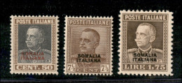 Colonie - Somalia - 1928 - Soprastampati (116/118) - Serie Completa - Gomma Integra (700) - Andere & Zonder Classificatie