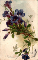 Catharina Klein Fleur Flower Fiore N°Z960 Cpa Couleur Voyagée En 1924 En B.Etat - Klein, Catharina