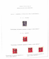 Lotti&Collezioni - REGNO - 1901/1941 - Dentellature Spostate + Imperfezioni Di Stampa - Collezione Studio In Album Con C - Autres & Non Classés