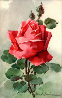 Catharina Klein Fleur Flower Fiore Rose N°1268 Cpa Couleur Non Ecrite Au Dos En TB.Etat - Klein, Catharina