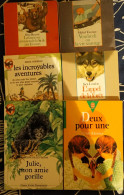 Lot De 6 Livres Pour Adolescents - Paquete De Libros