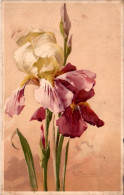 Catharina Klein Fleur Flower Fiore Meissner & Buch Série 1222 Cpa Couleur Voyagée Manque Timbre En B.Etat - Klein, Catharina