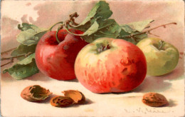Catharina Klein Pomme Apple Mela N°311 Cpa Couleur Ecrite Au Dos En TB.Etat - Klein, Catharina
