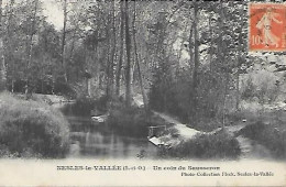 CPA Nesles-La-Vallée Un Coin Du Sausseron - Nesles-la-Vallée