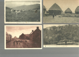 CPA Animaux Moutons Bergers Lot 6 Cartes - Verzamelingen & Kavels