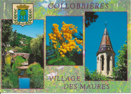 CPM Collobrières (83) Multivues - Collobrieres