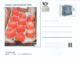 Czech Republic 2023 - November Month Pomegranatem, Special Postal Stationery,MNH - Frutas
