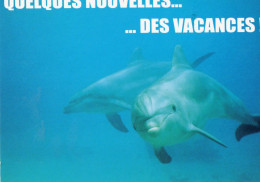 CPM - DAUPHIN - QUELQUES NOUVELLES DES VACANCES ! - Delfines