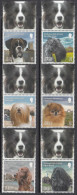 2013 Jersey Kennel Club Dogs Chiens Complete Set Of 6 MNH @ BELOW FACE VALUE - Jersey
