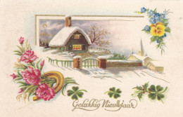 Bonne Année, Happy New Year, Gelukkig Nieuwjaar,  Winter Scene, Man With Flowers  (pk86233) - Anno Nuovo