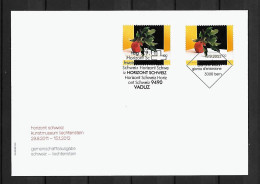 2011 Joint Switzerland And Liechtenstein, MIXED FDC SWITZERLAND WITH BOTH STAMPS: Horizon - Joint Issues