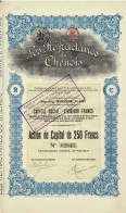 - Titre De 1923 - Les Réfractaires Du Chenois - Société Anonyme   - - Industry