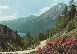 N3887 Lago Di Anterselva (Bolzano) - Antholzersee - Panorama Con Le Vedrette Di Ries / Viaggiata 1996 - Autres & Non Classés