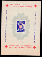 Polan. 1945. RED CROSS, Minisheet - Autres & Non Classés