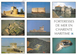 17 Les Forteresses De Mer En Charente Maritime   N° 34 \ML4013 - Pont-l'Abbé-d'Arnoult