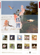 Japan 2023, Bird, Birds, Personalized, Crane, Self-Adhesive M/S Of 10v, MNH** - Cranes And Other Gruiformes